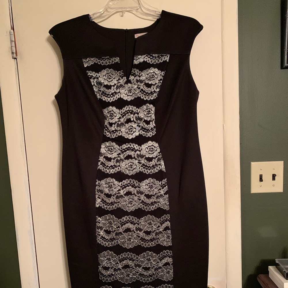 Dress Barn Silhouette Pencil Dress w/ Lace Detail